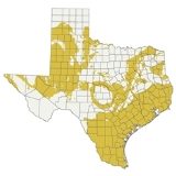 Laterl Extent of Brackish Aquifers in Texas